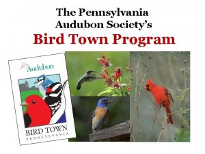 The Pennsylvania Audubon Societys Bird Town Program The