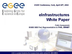 EGEE Conference Cork April 20 th 2004 e