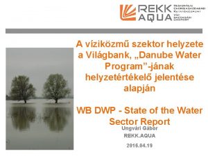 A vzikzm szektor helyzete a Vilgbank Danube Water