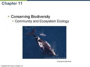 Chapter 11 Conserving Biodiversity Community and Ecosystem Ecology