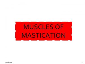 MUSCLES OF MASTICATION 12242021 1 The muscles of