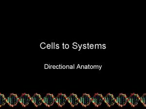 Cells to Systems Directional Anatomy Cells Every organism