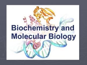 Organic Compounds carbonbased compounds used by organisms 1