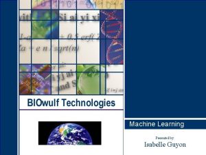 Machine Learning Research Presented by Isabelle Guyon BIOwulf