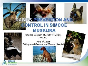 RABIES PREVENTION AND CONTROL IN SIMCOE MUSKOKA Charles