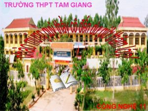TRNG THPT TAM GIANG CNG NGH 11 KIM