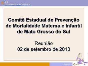 Comit Estadual de Preveno de Mortalidade Materna e