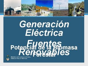 Generacin Elctrica Fuentes Potencial de la Biomasa Renovables