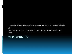Name the different types of membranes their locations