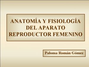 ANATOMA Y FISIOLOGA DEL APARATO REPRODUCTOR FEMENINO Paloma