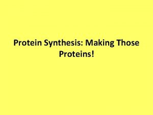 Protein Synthesis Making Those Proteins So What are