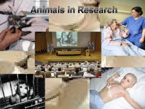 Animals in Research Using Animals for Research Level