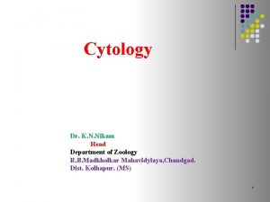 Cytology Dr K N Nikam Head Department of