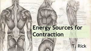 Energy Sources for Contraction T Rick Energy sources