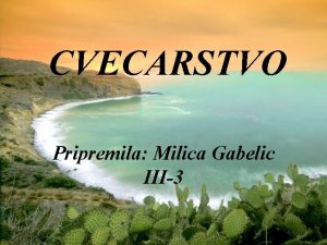CVECARSTVO Pripremila Milica Gabelic III3 Cacteae Listovi kaktusa