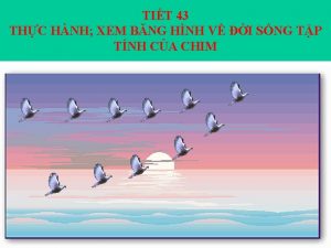 TIT 43 THC HNH XEM BNG HNH V
