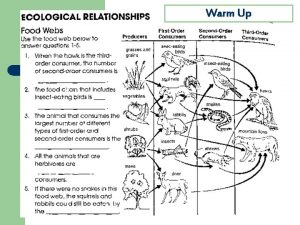 Warm Up Trophic Levels 1 2 3 4