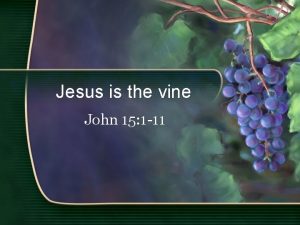 Jesus is the vine John 15 1 11