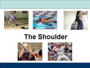 The Shoulder Label the Shoulder The shoulder is