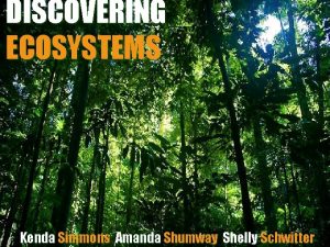 DISCOVERING ECOSYSTEMS Kenda Simmons Amanda Shumway Shelly Schwitter