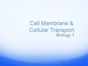 Cell Membrane Cellular Transport Biology 1 HOMEOSTASIS AND