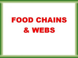 FOOD CHAINS WEBS the ultimate energy source Energy