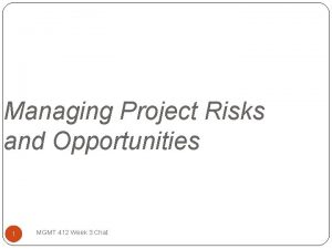 Managing Project Risks and Opportunities 1 MGMT 412