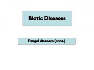 Biotic Diseases Fungal diseases cont Downy Mildew A