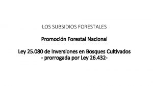 LOS SUBSIDIOS FORESTALES Promocin Forestal Nacional Ley 25