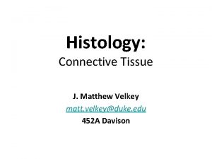 Histology Connective Tissue J Matthew Velkey matt velkeyduke