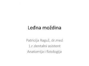 Lena modina Patricija Ragu dr med 1 r