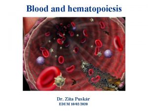 Blood and hematopoiesis Dr Zita Puskr EDI M