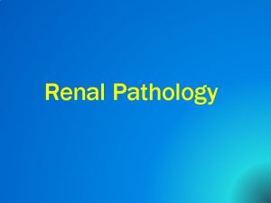 Renal Pathology Introduction 150 gm each kidney 1700