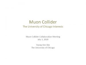 Muon Collider The University of Chicago Interests Muon