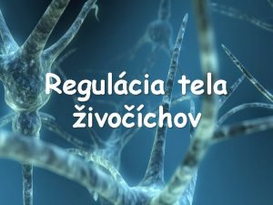 Regulcia tela ivochov http www kvizy euosobnostnetestyonlinetestynapamatpamatanieslov 3