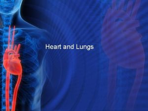 Heart and Lungs Cardiovascular System Heart Delivers essential