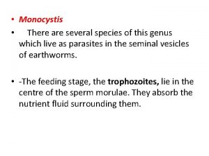 Monocystis There are several species of this genus