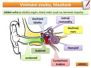 Vnmn zvuku hlasitost Lidsk ucho je sloit orgn