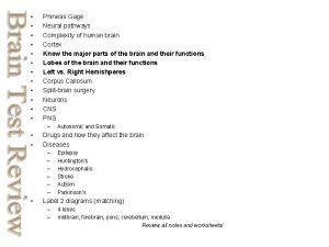 Phineas Gage Neural pathways Complexity of human brain