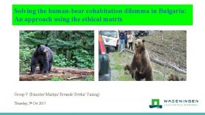 Solving the humanbear cohabitation dilemma in Bulgaria An