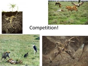 Competition Competition Competition When organisms fight for the