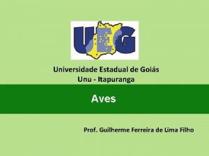 Universidade Estadual de Gois Unu Itapuranga Aves Prof