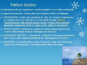 Fattori biotici Comprende tutti gli organismi viventi presenti