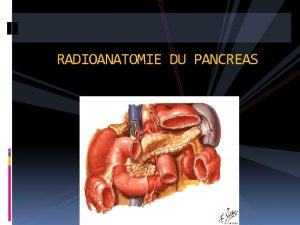 RADIOANATOMIE DU PANCREAS PLAN I INTRODUCTION II RAPPEL