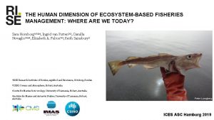 THE HUMAN DIMENSION OF ECOSYSTEMBASED FISHERIES MANAGEMENT WHERE