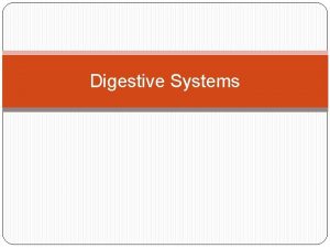 Digestive Systems 2 types of digestion systems Ruminants