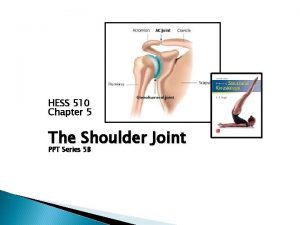 HESS 510 Chapter 5 The Shoulder Joint PPT