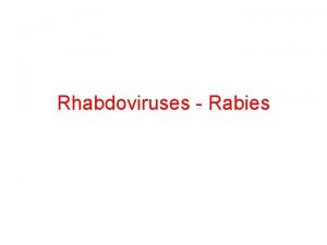 Rhabdoviruses Rabies Objectives Explain the properties of Rhabidovirus