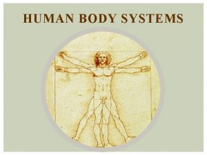 HUMAN BODY SYSTEMS ORGANIZATION IN MULTICELLULAR ORGANISMS Cell