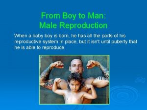 From Boy to Man Male Reproduction When a
